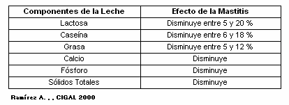 La utilización de Leche de Hospital en la Alimentación de Becerras de Reemplazo: una mala decisión para la rentabilidad de su Establo - Image 1