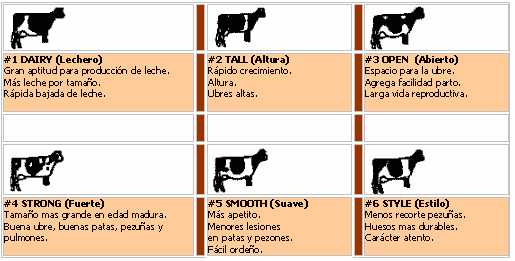 ¿Cómo elegir que Toros usar? - Segunda Parte - Image 2