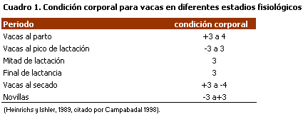 Prevención de desordenes metabólicos en la etapa pre y pos parto en bovinos de leche - Image 1