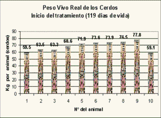 Evaluación de 2 tratamientos con 2 aditivos T1 (Clorhidrato de ractopamina) y T2 (Levaduras + lactobacilos) como factores en los costos de alimentación y la conversión alimenticia en cerdos de finalización - Image 2