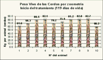 Evaluación de 2 tratamientos con 2 aditivos T1 (Clorhidrato de ractopamina) y T2 (Levaduras + lactobacilos) como factores en los costos de alimentación y la conversión alimenticia en cerdos de finalización - Image 3