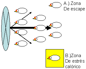 Ventilación en pollos de engorda - Image 4