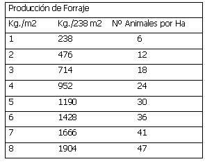 Como sostener 30 animales por hectárea - Image 4