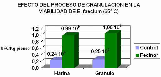 El papel de los probioticos en la colonización y regeneración de la flora intestinal del lechón - Image 2