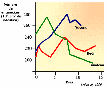 Salud Intestinal. Ajuste de Dietas. - Image 7