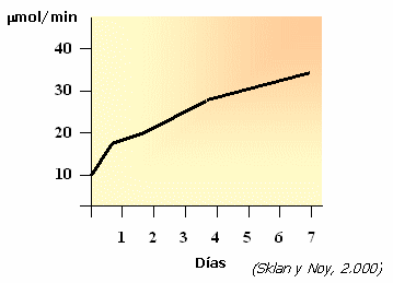 Salud Intestinal. Ajuste de Dietas. - Image 8