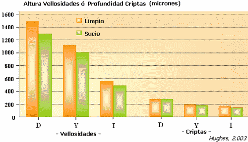 Salud Intestinal. Ajuste de Dietas. - Image 21