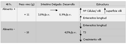 Salud Intestinal. Ajuste de Dietas. - Image 12