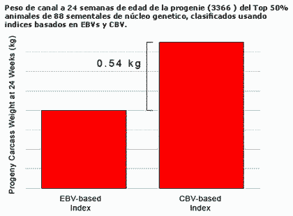 CVBs- Valor Genético Estimado en la Cruza Comercial - Image 1