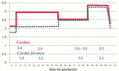 Alimentación de la Cerda Gestante - Image 3
