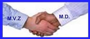 ¿Síndrome, Conflicto O Apocalípsis Mundial? - Image 3