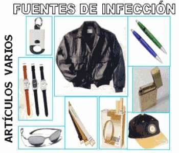 Influenza Aviar de alta virulencia: ¿ Cómo llego esta enfermedad a mi Granja ? - Image 2