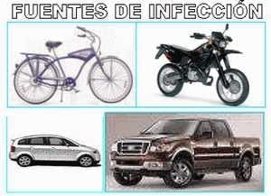 Influenza Aviar de alta virulencia: ¿ Cómo llego esta enfermedad a mi Granja ? - Image 3