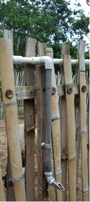 Instalaciones ovicaprinas: De esa agua... sí beberé - Image 1