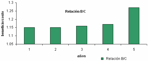Proyecto: Comercialización de Carne de Ovino - Tercera Parte - Image 28
