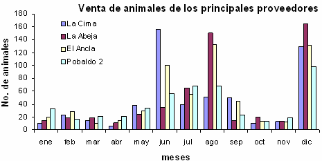 Proyecto: Comercialización de Carne de Ovino - Tercera Parte - Image 10