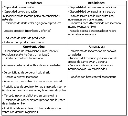 Proyecto: Comercialización de Carne de Ovino - Primera Parte - Image 1