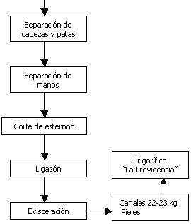 Proyecto: Comercialización de Carne de Ovino - Segunda Parte - Image 15