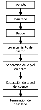 Proyecto: Comercialización de Carne de Ovino - Segunda Parte - Image 17