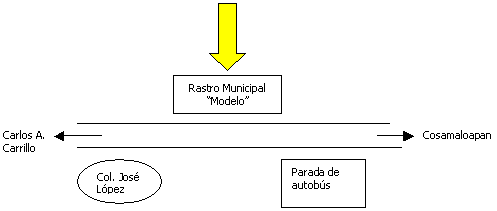 Proyecto: Comercialización de Carne de Ovino - Segunda Parte - Image 8
