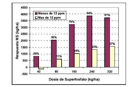 La Fertilizacion como Herramienta para Incrementar la Produccion de Alfalfa - Image 1