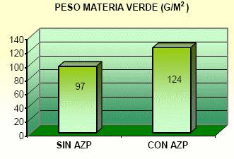 Inoculación con Azospirillum en cultivo de alfalfa – Ensayos a campo - Image 3