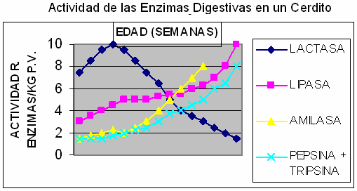 Manejo de Cerdito Destetado Precoz y Ultraprecoz - Image 3