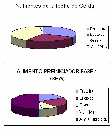 Manejo de Cerdito Destetado Precoz y Ultraprecoz - Image 6