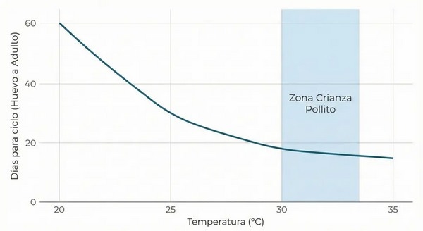 El enemigo oculto en la granja: Gestión integral de Alphitobius diaperinus - Image 1