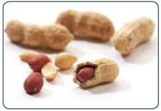 FluoroQuant® Afla Plus Test Kit para aflatoxinas, Concesión del StatusAOAC: Performance TestedSM - Image 2