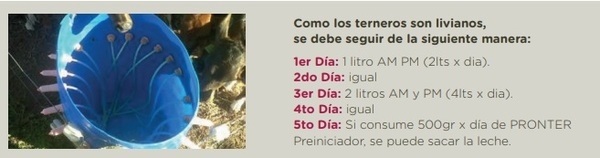 Informe sobre destete hiperprecoz con Pronter Preiniciador - Image 3