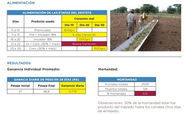 Informe sobre destete hiperprecoz con Pronter Preiniciador - Image 1