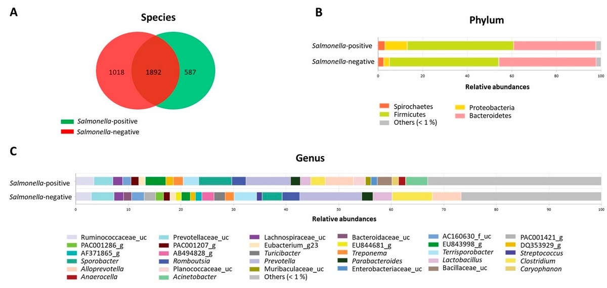 Prevalencia de Salmonella en cerdos: factores de riesgo y composición de la microbiota intestinal - Image 1