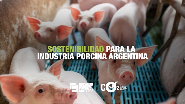 PROVIMI CARGILL SE SUMÓ A LA MESA PORCINA DEL PROGRAMA ARGENTINO DE CARBONO NEUTRO - Image 1