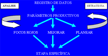 Importancia de Registro de Datos - Image 2