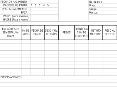 Importancia de Registro de Datos - Image 4