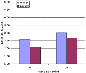Diagnóstico y manejo de enfermedades de fin de ciclo en soja en lotes de productores de Marcos Juárez y su zona de influencia - Image 19