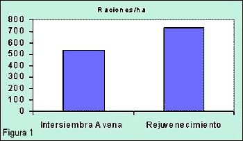 Manejo de la Fertilización en Verdeos Invernales - Image 1
