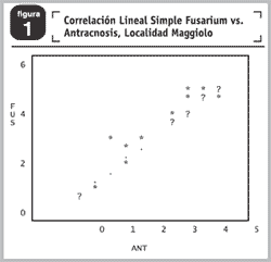 Severidad de podredumbre del tallo y antracnosis sobre híbridos comerciales de maíz y su influencia en el rendimiento en el sur de Santa Fe. Campaña 2004 – 2005 - Image 3