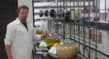 Biodiesel de soja. Un moderno caballo de troya - Image 1