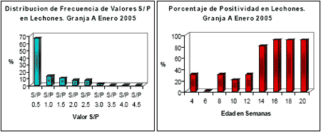 Quiere saber si su programa de control del Síndrome Respiratorio y Reproductivo Porcino (SRRP) esta funcionando?. Evalúe serologicamente su población de madres. - Image 3
