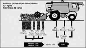 Eficiencia de Cosecha de Soja - Image 1