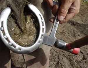 Secuencia del herrado de un caballo - Image 2