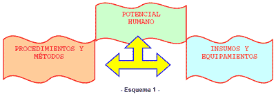 Bioseguridad Avícola - Image 1