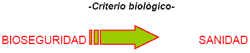 Bioseguridad Avícola - Image 2