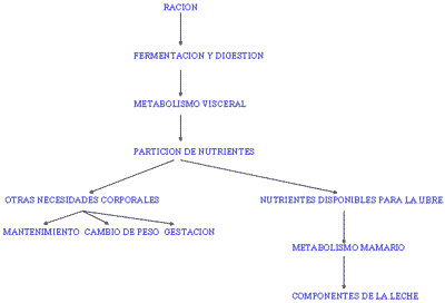 Factores nutricionales que afectan a la composición de la leche - Image 3