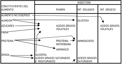 Factores nutricionales que afectan a la composición de la leche - Image 4