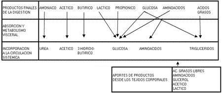 Factores nutricionales que afectan a la composición de la leche - Image 5