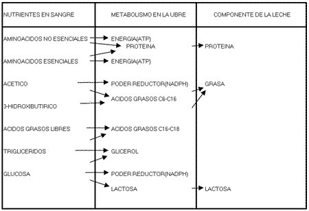 Factores nutricionales que afectan a la composición de la leche - Image 6