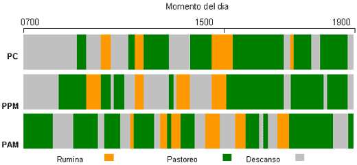 Hagamos pastorear nuestros animales al atardecer… - Image 2